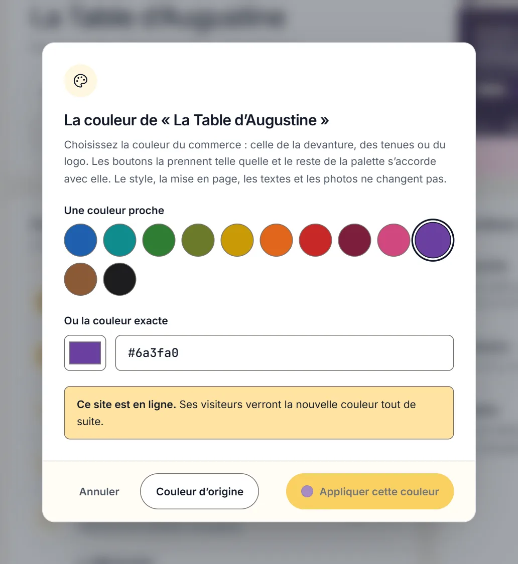 Le choix de la couleur du commerce, appliquée à tout le site