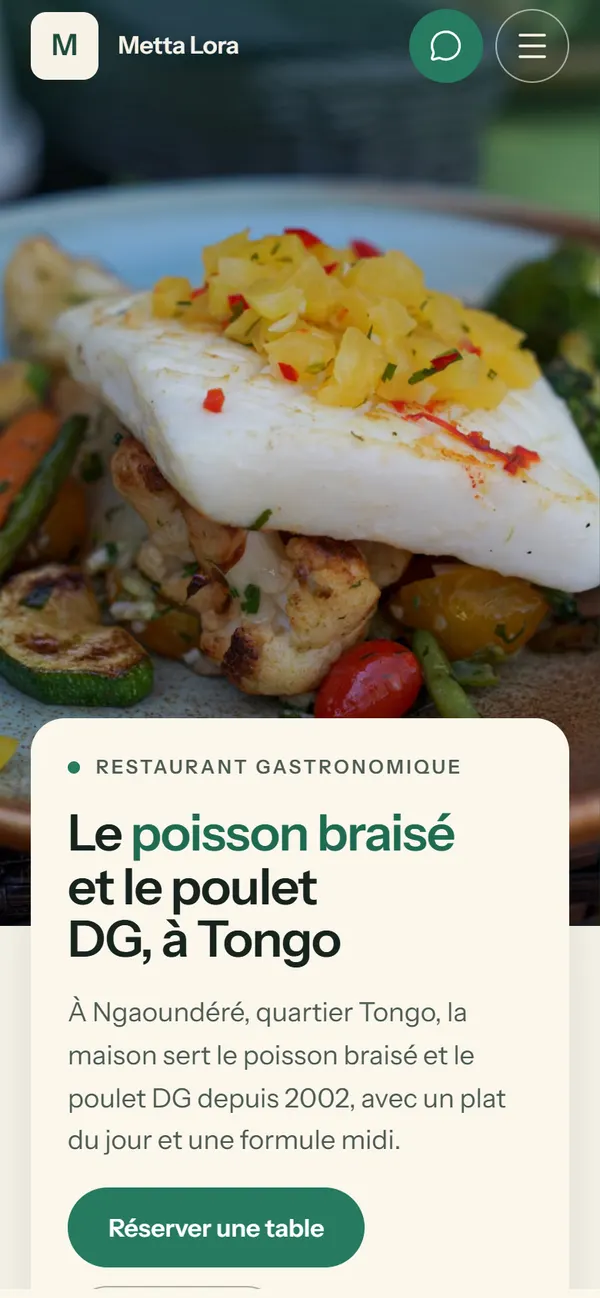 Le premier écran de Metta Lora sur téléphone